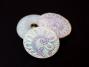 22.5mm Clear AB Frosted Paisley Glass Button